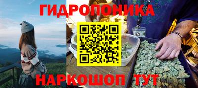 трава Апшеронск